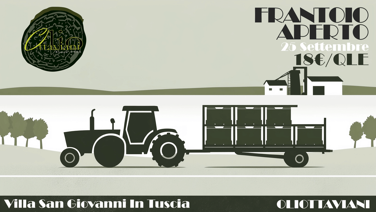 Raccolta delle olive: il calendario del Frantoio Ottaviani
