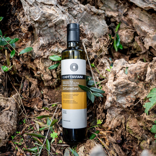 Bottiglia di olio extra vergine di oliva Ottaviani Settembre su corteccia e foglie verdi