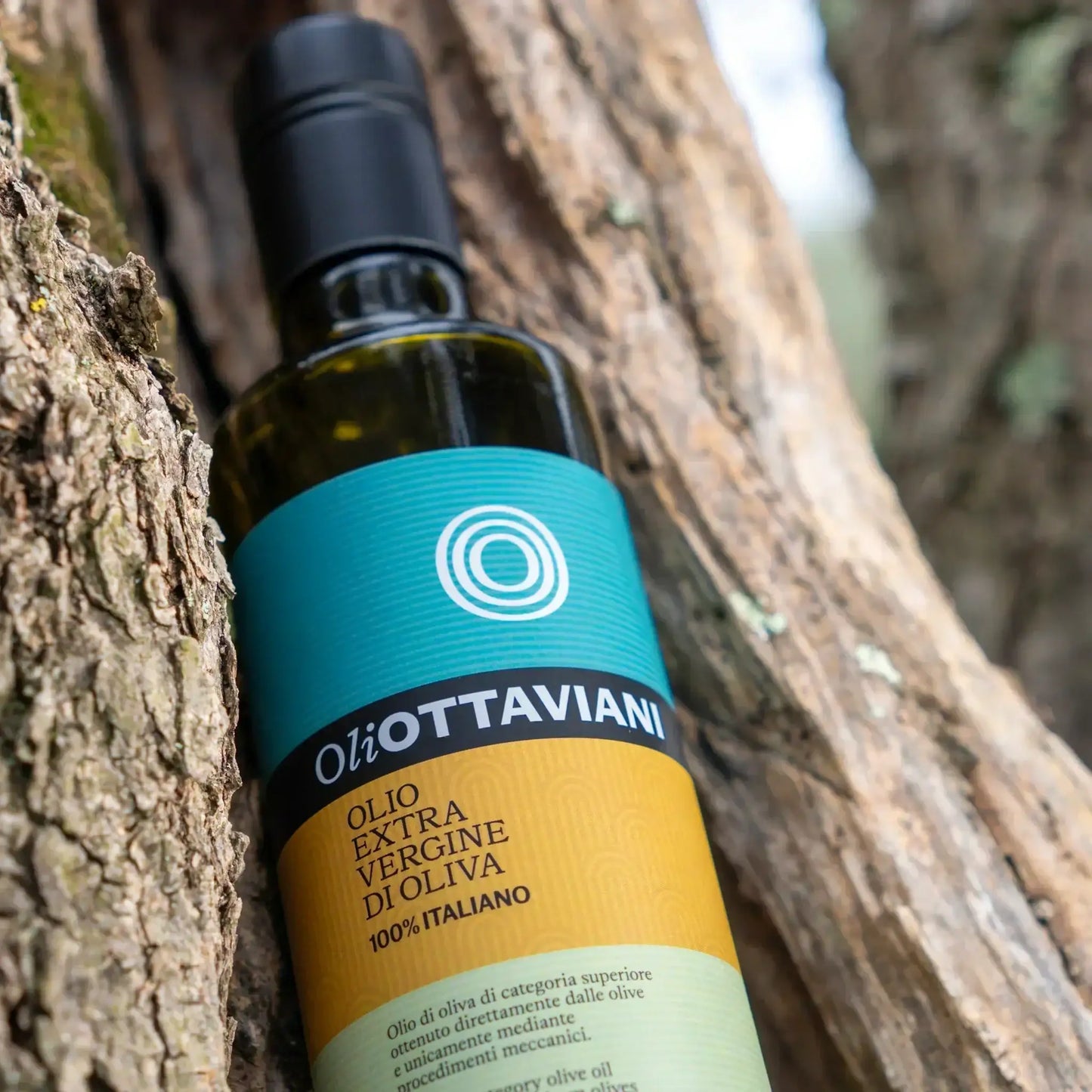 Bottiglia di olio extra vergine di oliva italiano OliOTTAVIANI su corteccia d'albero