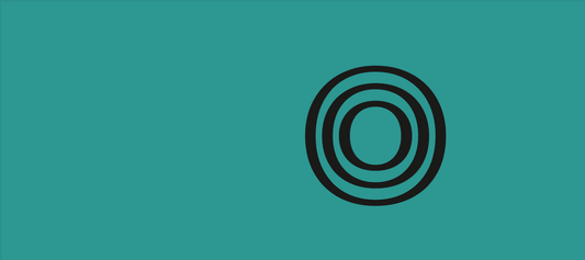 Screenshot pagina Shopify con elenco ordini e dettagli spedizione, 2025