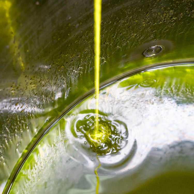 Olio Extra Vergine di Oliva