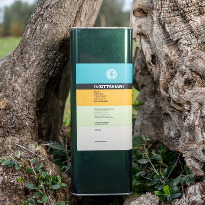 Latta di olio extravergine di oliva Ottaviani immersa tra alberi di ulivo e vegetazione