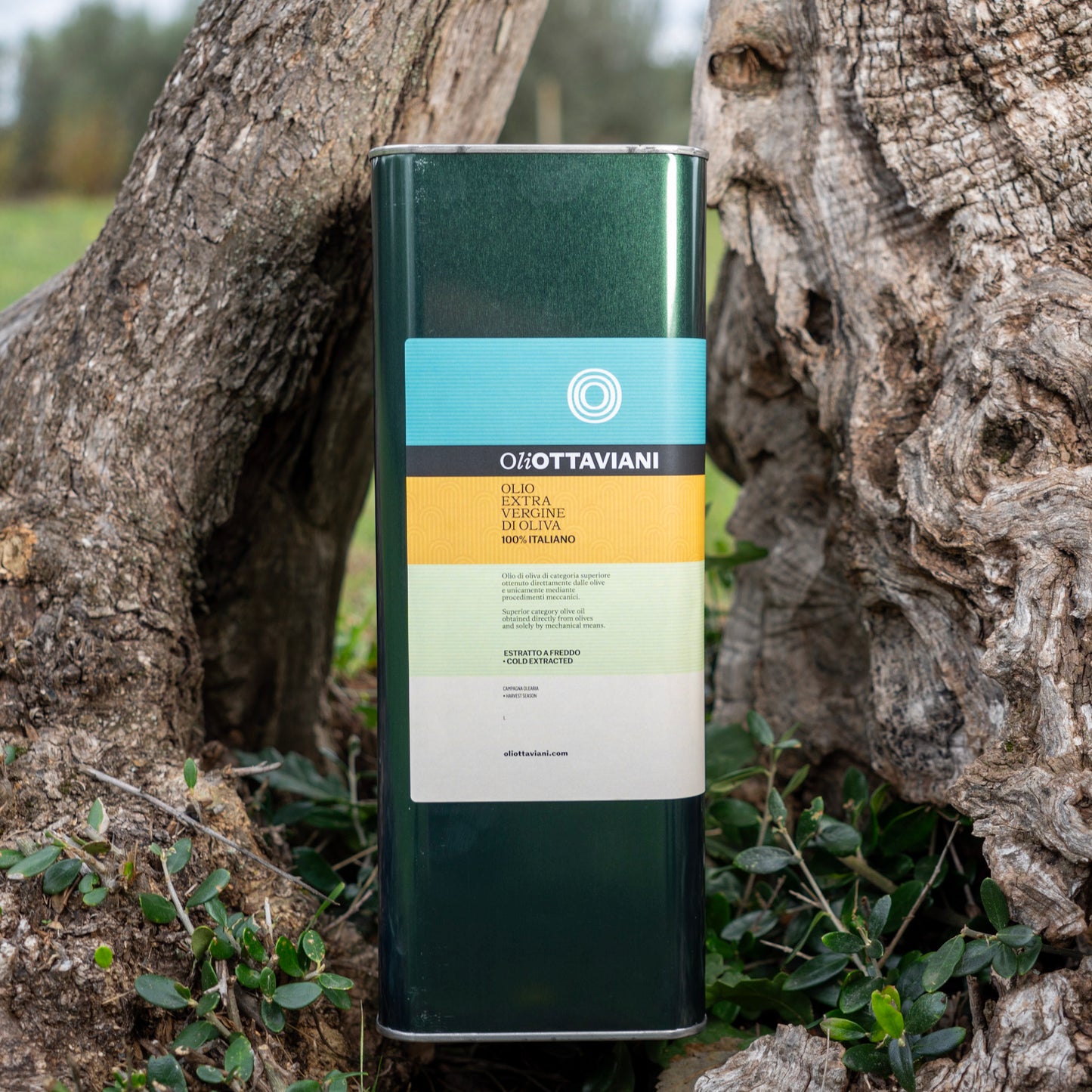 Olio extravergine di Oliva | Oliottaviani