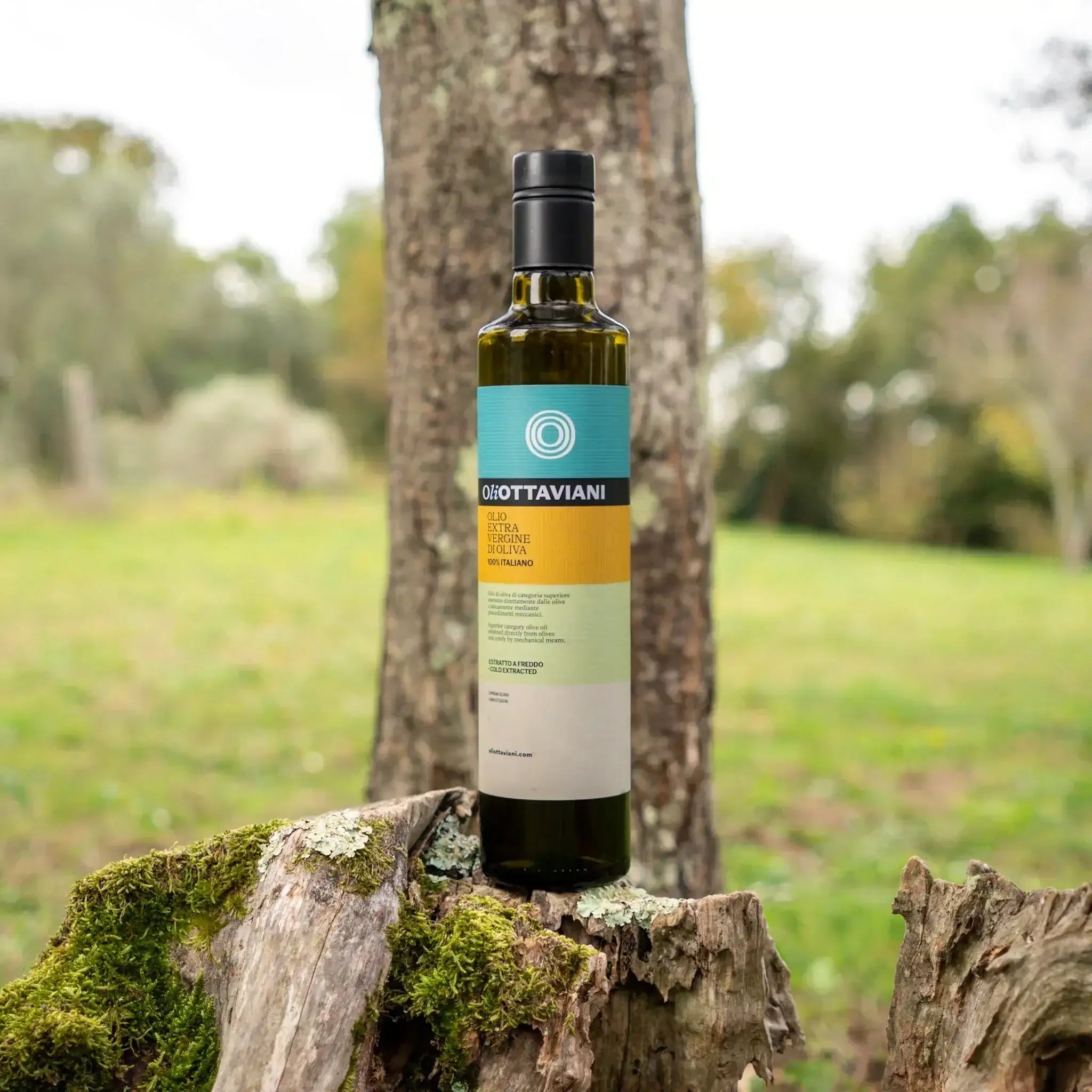 Bottiglia di olio extra vergine di oliva italiano Olio Ottaviani su tronco muschioso in natura