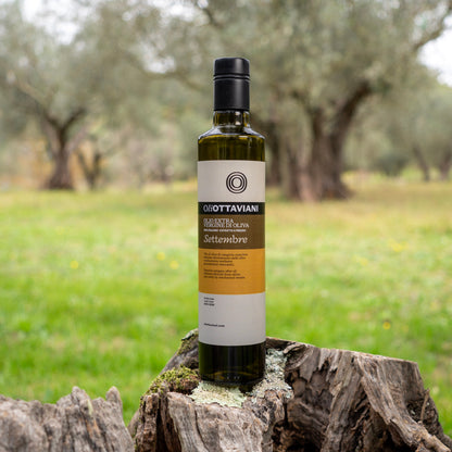 Olio extravergine di Oliva Canino - Settembre