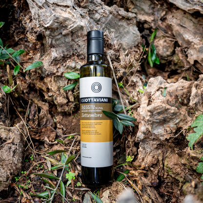 Olio extravergine di Oliva Canino - Settembre