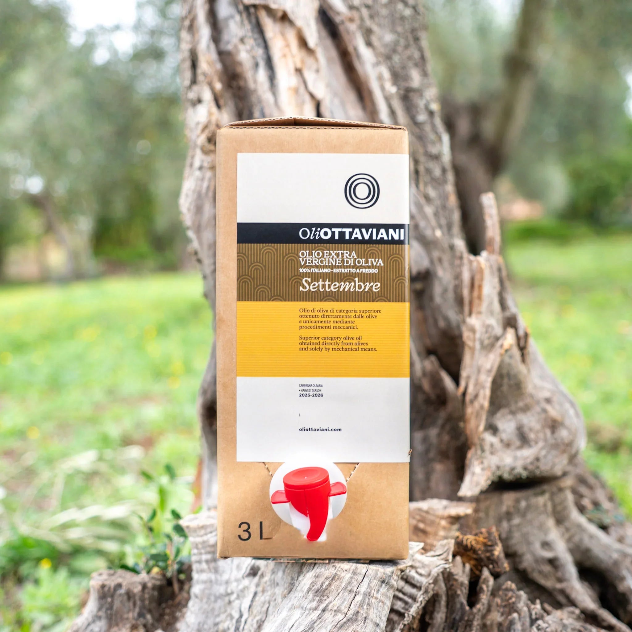 Confezione da 3 litri olio extra vergine di oliva OliOttaviani su tronco d'albero