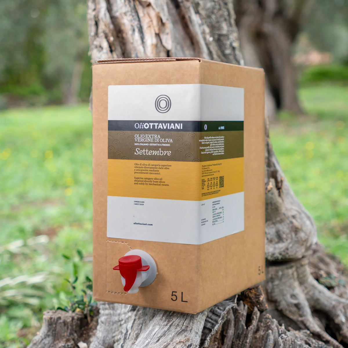 Confezione da 5L di olio extra vergine di oliva Oli Ottaviani con rubinetto rosso, all'aperto su tronco