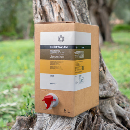 Olio extravergine di Oliva Canino - Settembre