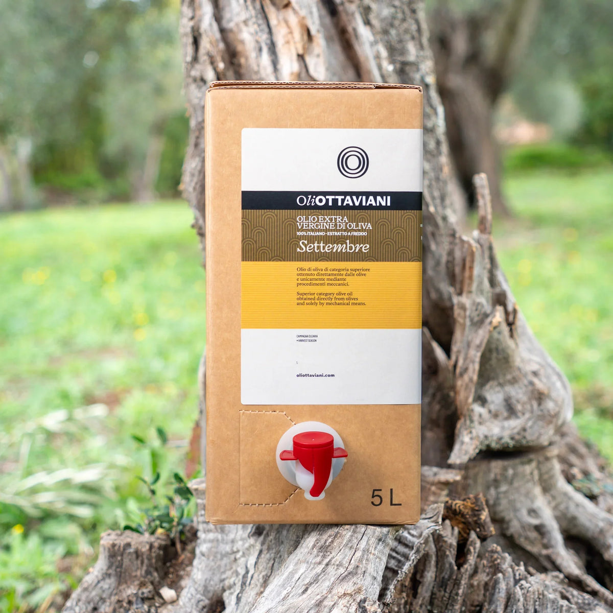 Bag in box da 5L di olio extra vergine d'oliva Ottaviani Settembre su tronco d'albero
