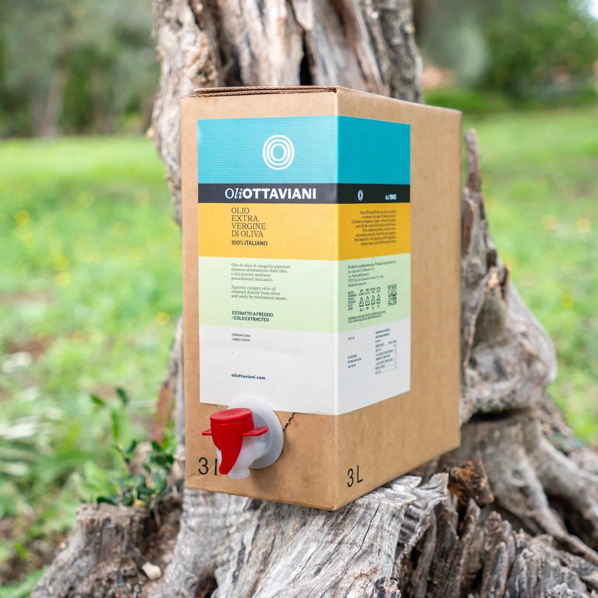 Confezione da 3 litri di olio extra vergine di oliva Ottaviani con rubinetto rosso su ceppo