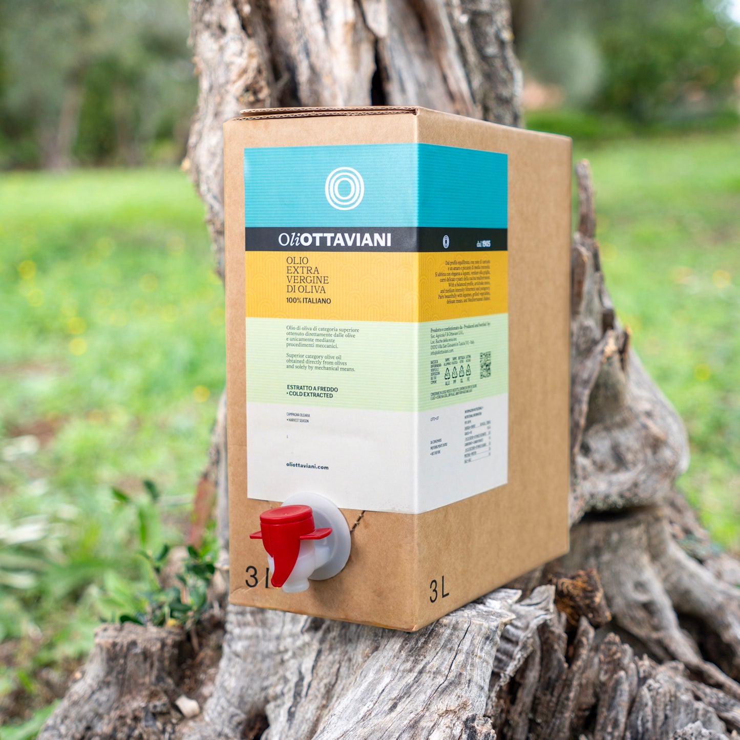 Olio extravergine di Oliva | Oliottaviani