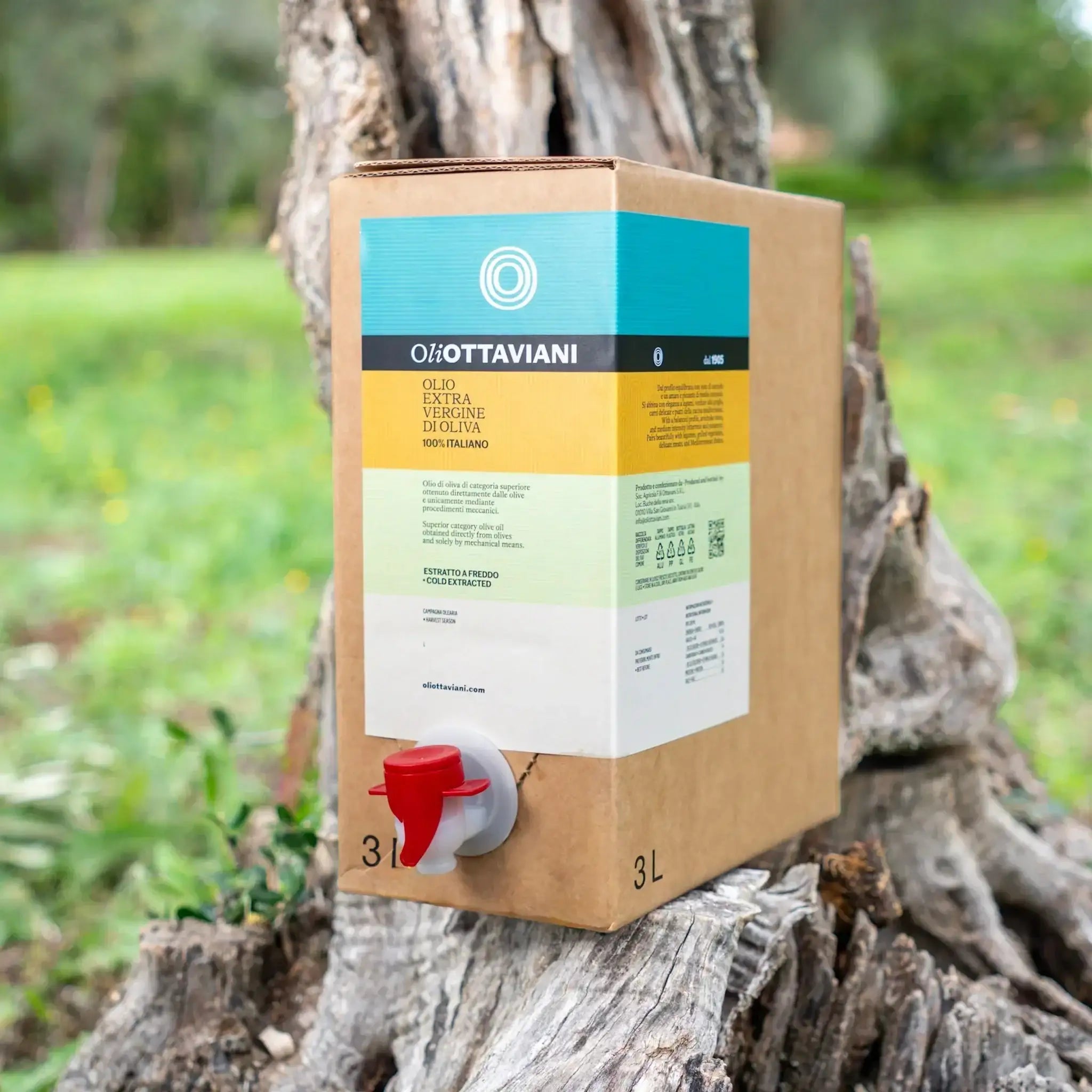 Confezione cartone 3 litri olio extra vergine di oliva Ottaviani con rubinetto rosso su albero