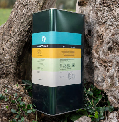 Latta di olio extra vergine di oliva Ottaviani posata tra le radici di un ulivo