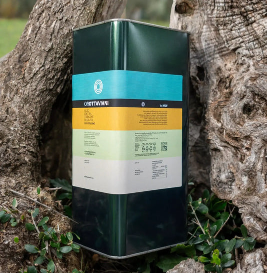 Latta di olio extra vergine di oliva Italiano Olio Ottaviani tra tronchi d'albero