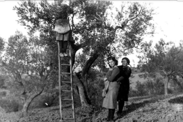 The Oil Mill is Born