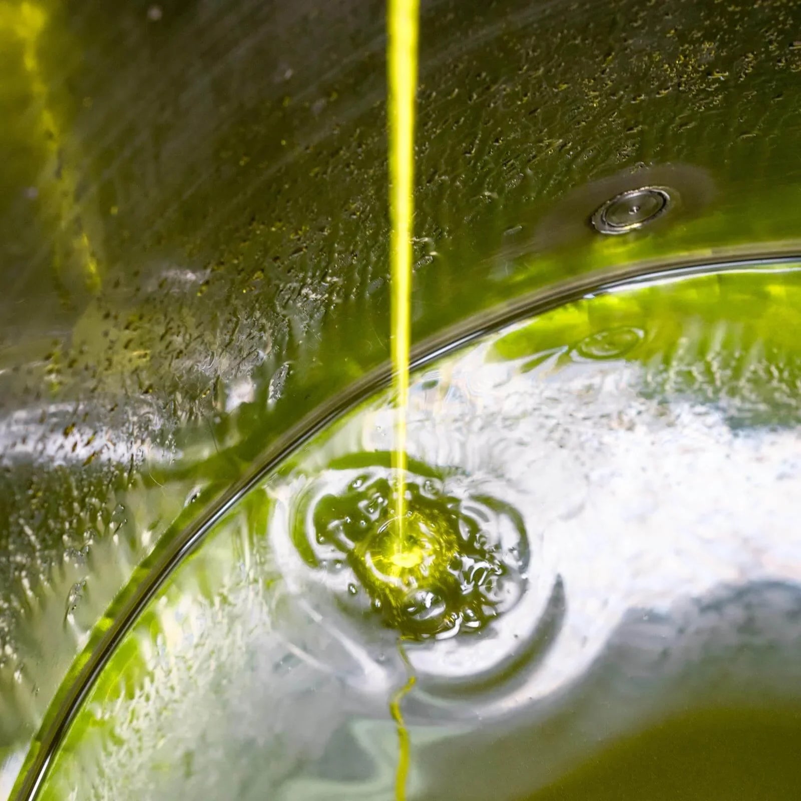 Olio extravergine d'oliva verde che scende in un contenitore metallico lucido