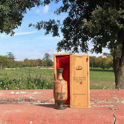 Bottiglia di olio extra vergine di oliva in confezione di legno su muro rosso all'aperto