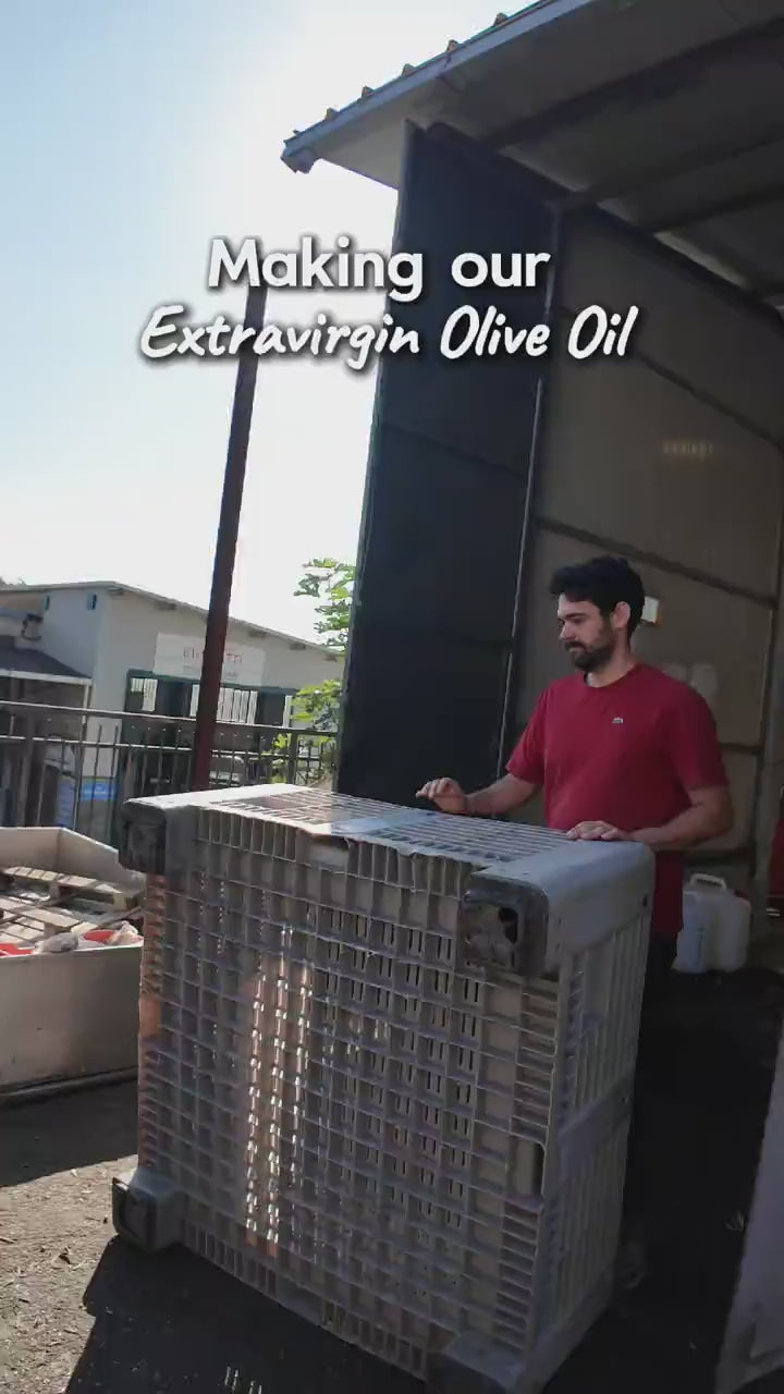 Olio extravergine di Oliva Canino - Settembre